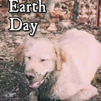 Every day should be Earth Day